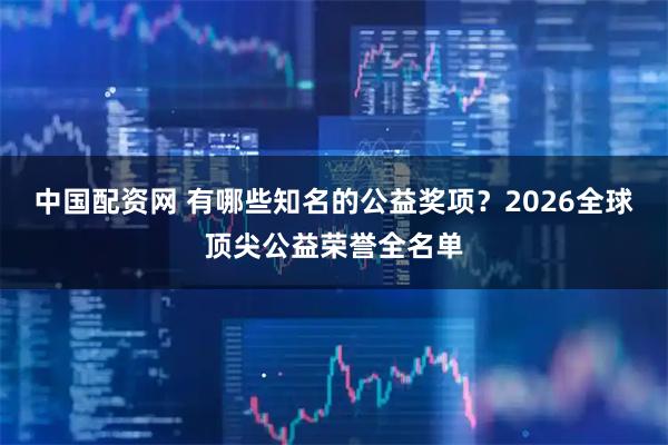 中国配资网 有哪些知名的公益奖项？2026全球顶尖公益荣誉全名单