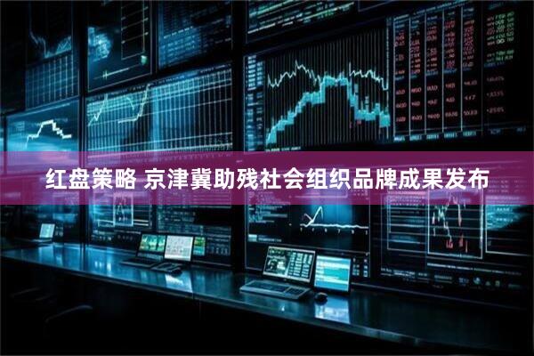 红盘策略 京津冀助残社会组织品牌成果发布